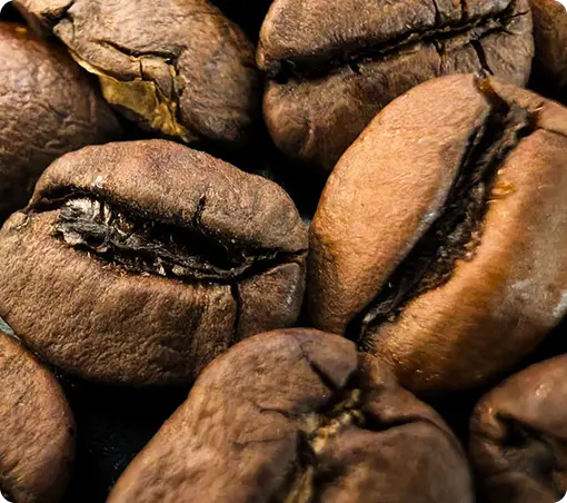 grano de cafe