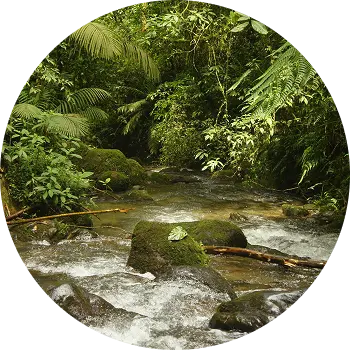 origenes colombia