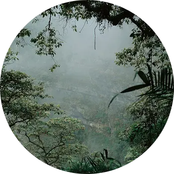 origenes peru